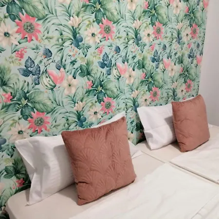 Guest house In Alicante! Alicante